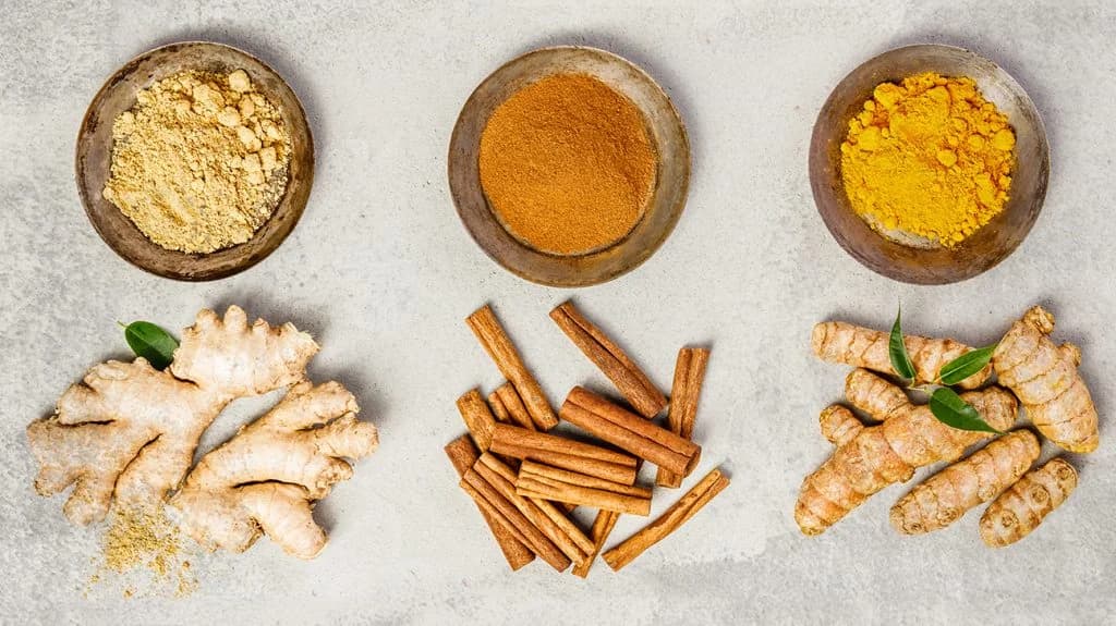 Erlebe die aromatische Vielfalt der Gewürze bei Spices of the World