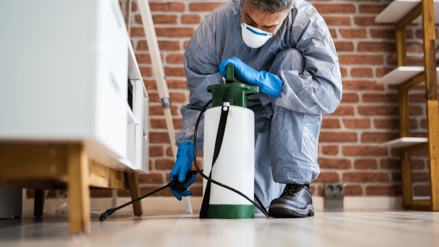 24/7-Support: Kammerjäger Johann ist immer für Sie da