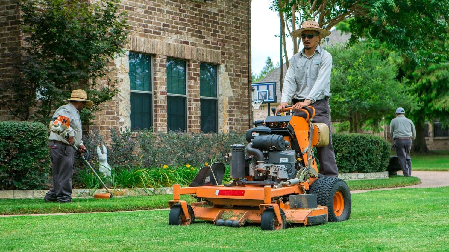 Ihr Garten, neu gedacht – ganzheitlicher Gartenbau Braunschweig