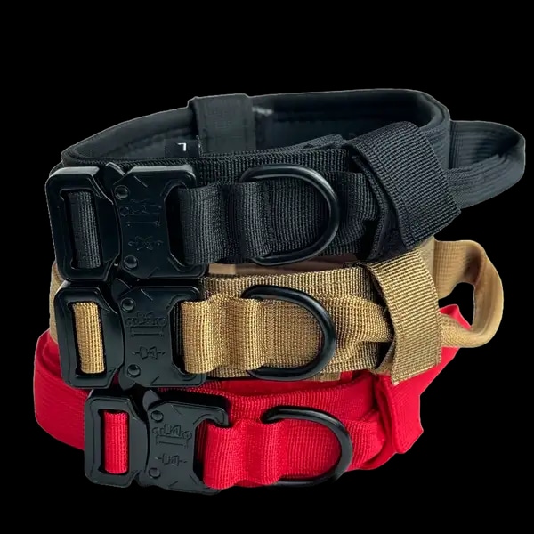 Hundehalsband mit Griff: Funktionalität trifft Stil