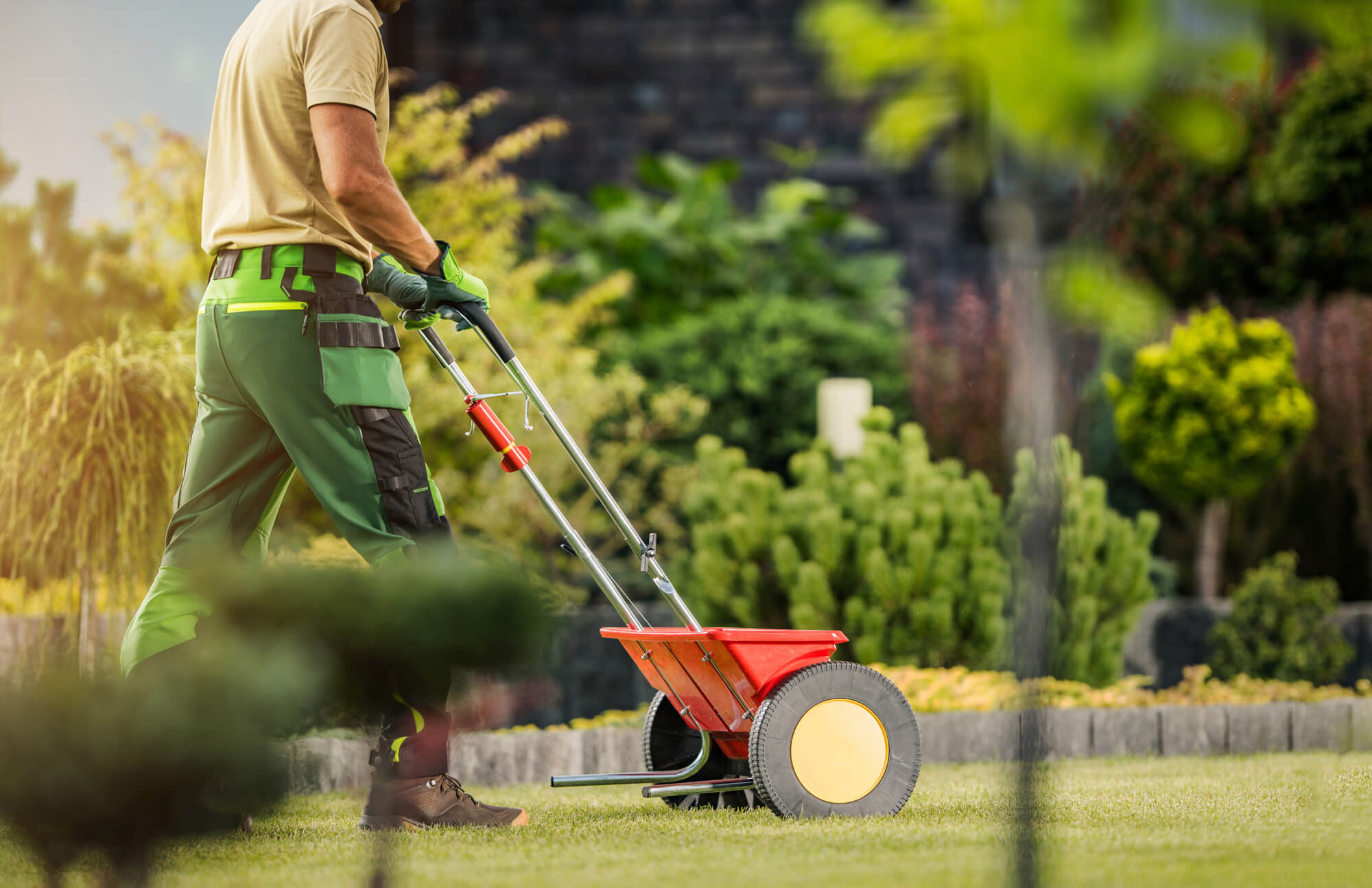 Ihr Garten, neu gedacht – ganzheitlicher Gartenbau Braunschweig