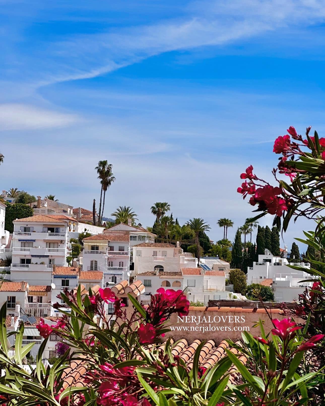 NERJALOVERS‘ Guide zu den besten Bars und Restaurants in Nerja