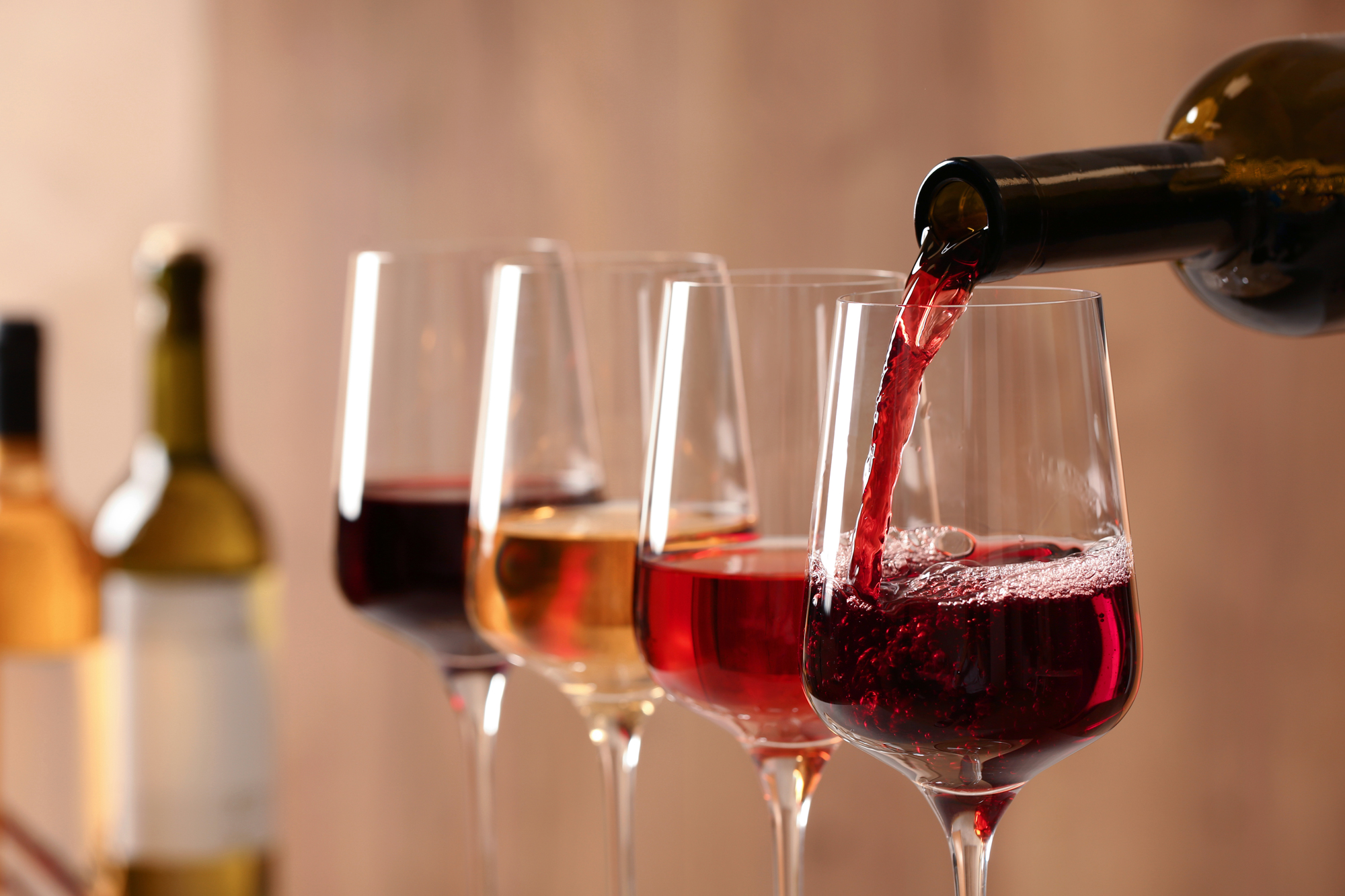 Weinversand und Bio-Weine: Die besten Angebote